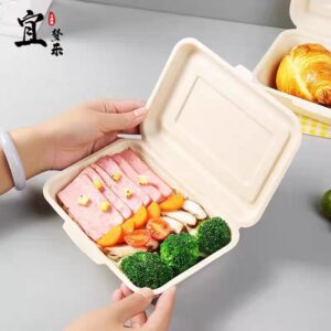 450ml  bagasse clamshell container
