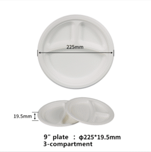 9-inch round compostable divided plate with three compartments made from sugarcane fiber for food service and portion control"