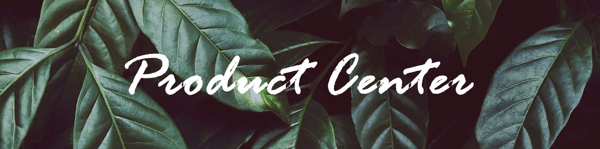 Automated Production Line for Molded Pulp Food Containers