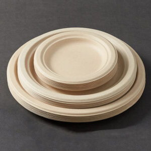 compostable plate made from sugarcane pulp for sauces